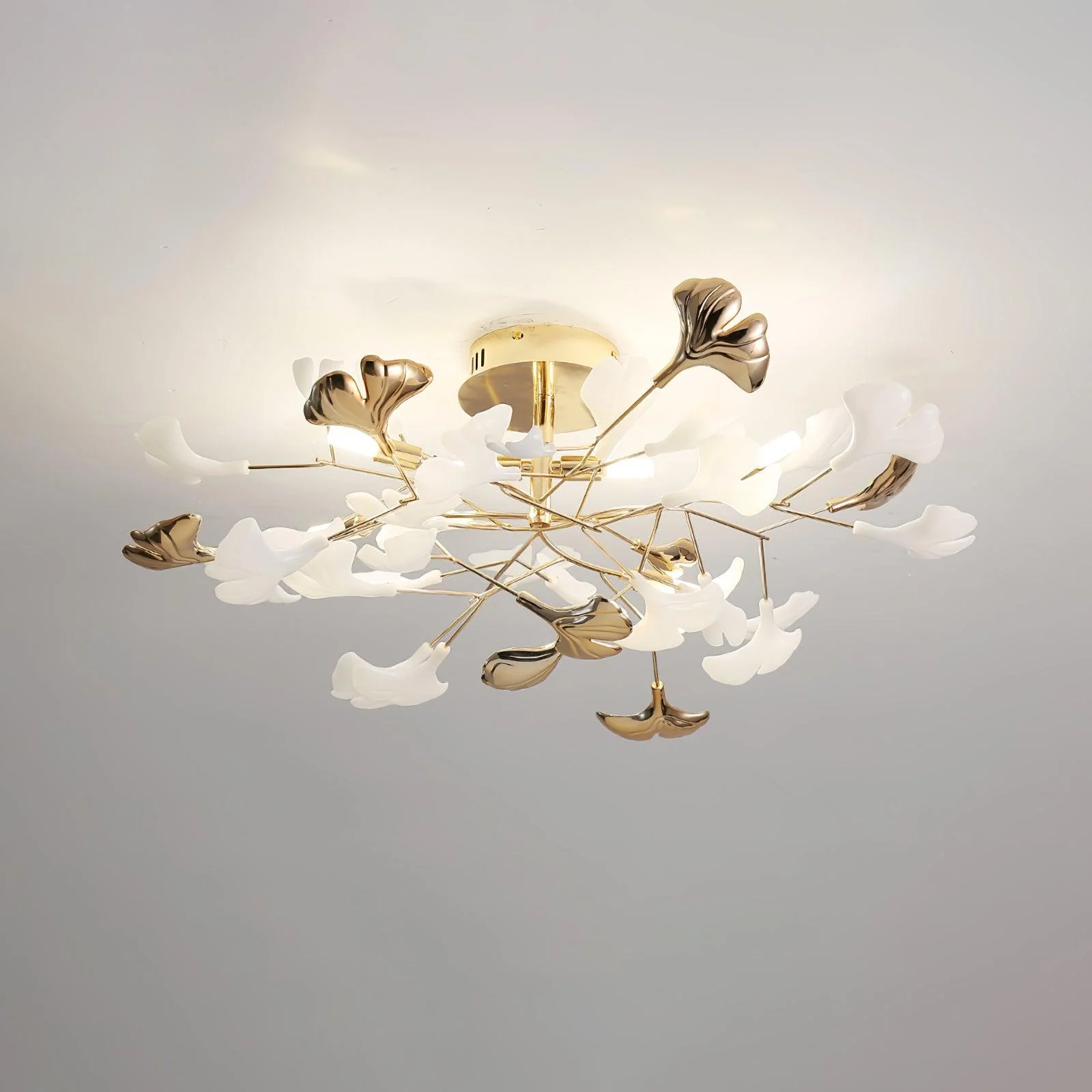 Product image 46