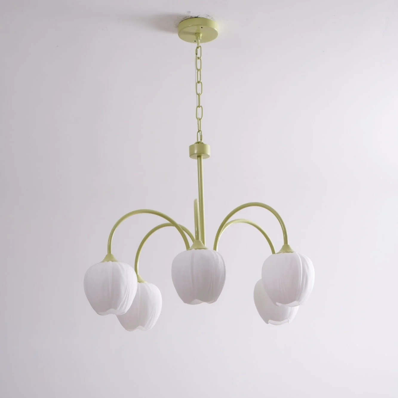 Product image 66